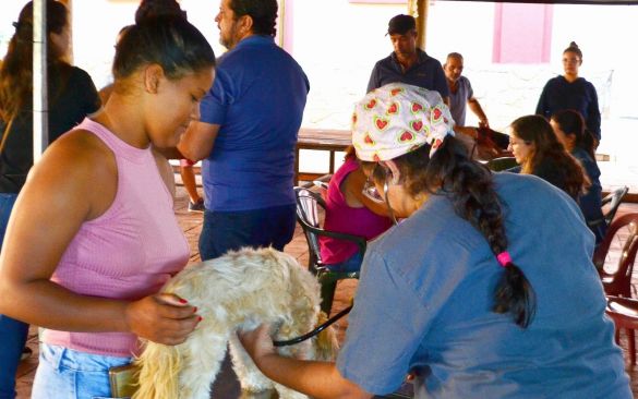 Prefeitura realiza 254 cirurgias de castração de cães e gatos em Cruz das Posses