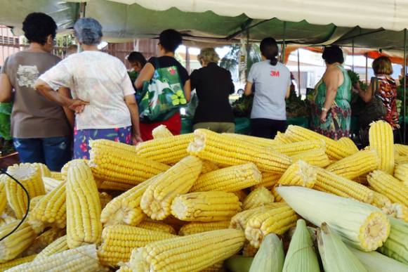 Devido à crise econômica em Sertãozinho, compradores apelam para descontos em feira livre