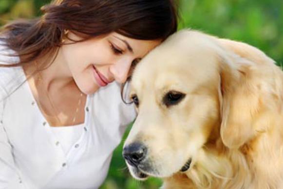 Cachorro pode ajudar a melhorar a saúde do coração