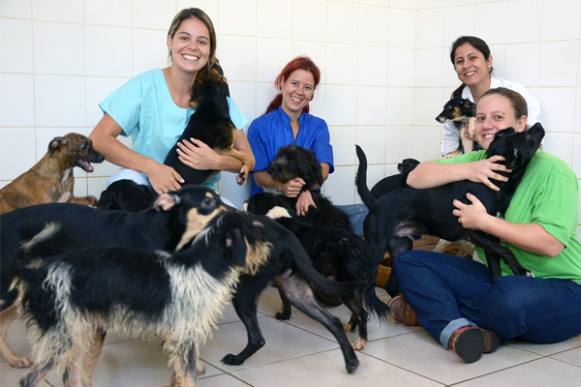 Departamento Municipal de Proteção Animal encerra o ano com balanço positivo