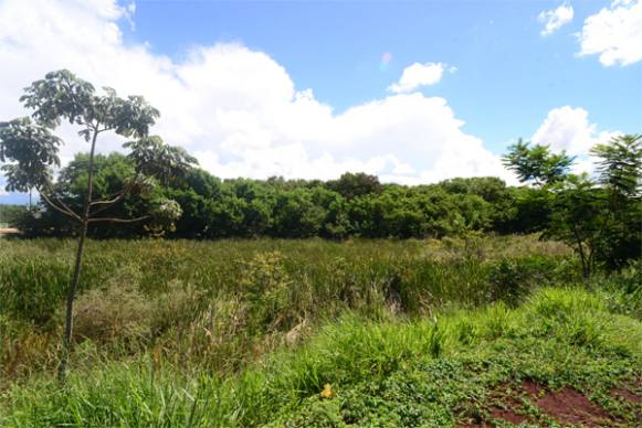 Cadastro Ambiental Rural: prazo se encerra no dia 05 de maio