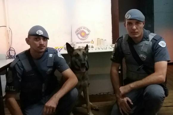 Suspeito de tráfico é pego pela PM após cão farejar drogas em bermuda