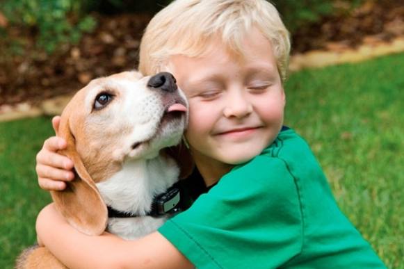 CEU das Artes tem vagas abertas para o projeto “Animais de Companhia”