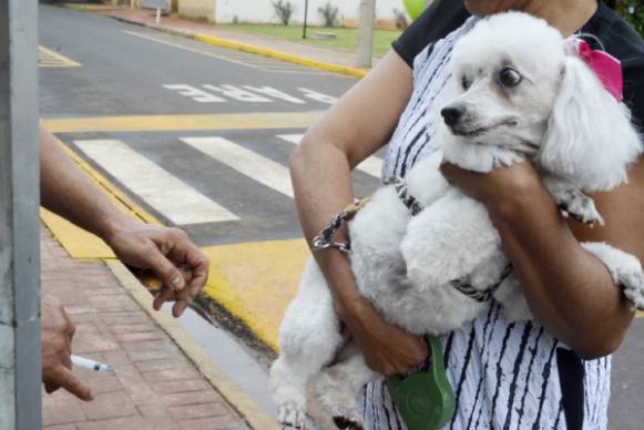 Campanha de Vacinação Antirrábica termina neste sábado, dia 1º