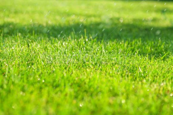 Chuva cancela treino do Sertãozinho