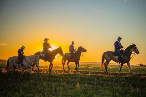 Festa do Cavalo de Sertãozinho resgata raízes culturais sertanejas