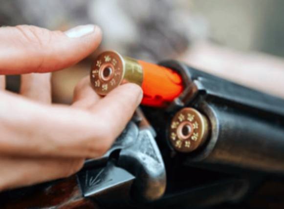 Câmara aprova arma no campo