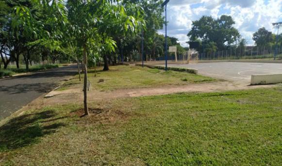 RIBEIRÃO - Parque Maurilio Biagi e praças públicas recebem corte de gramado