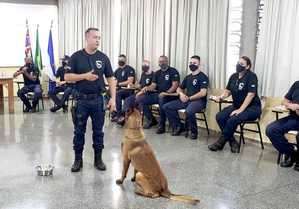 GCM realiza I Curso de Condutores de Cães