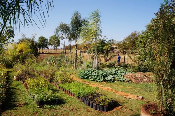 Secretaria de Meio Ambiente e Agricultura abre inscrições para seleção de estagiários