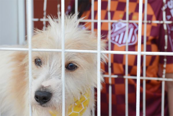 Semana do meio ambiente garante o bicho no Fredericão