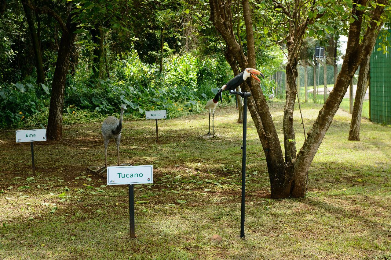 Parque Ecológico e de Lazer Gustavo Simioni inaugura exposição de animais neste domingo (19)