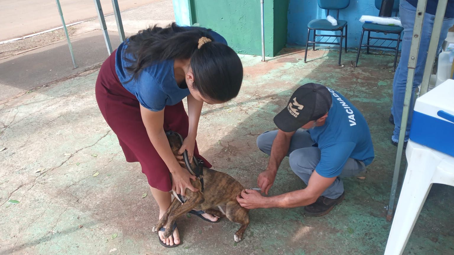 Jardim Paraíso terá vacinação de cães e gatos contra a raiva no próximo sábado (25)