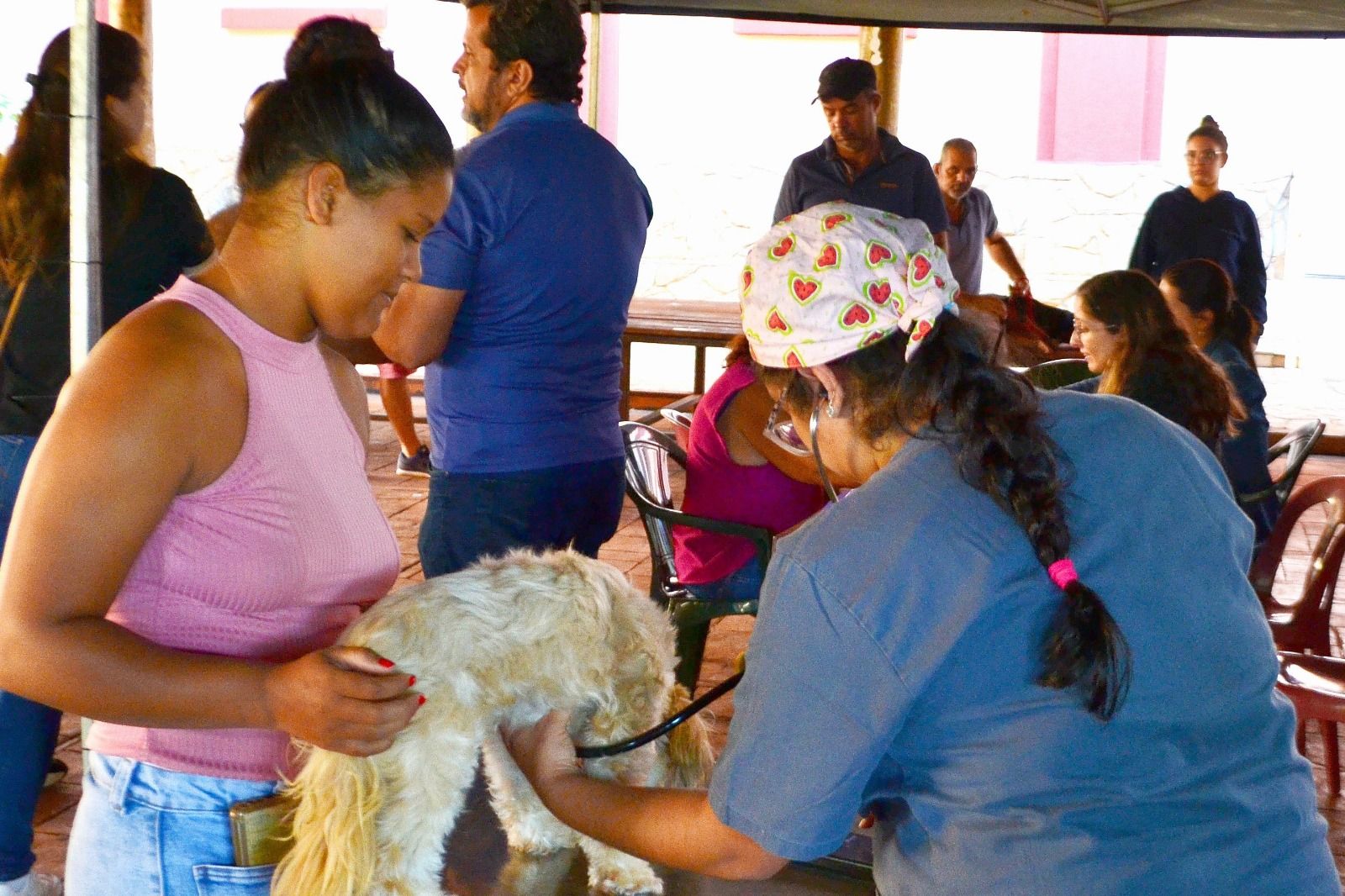 Prefeitura realiza 254 cirurgias de castração de cães e gatos em Cruz das Posses