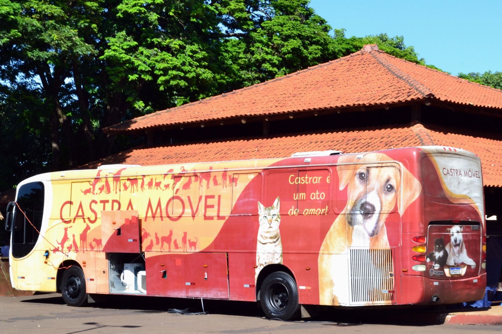 Prefeitura abre inscrições para mutirão de castração cães e gatos em Sertãozinho