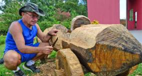 Guarda cria esculturas no Parque Ecológico