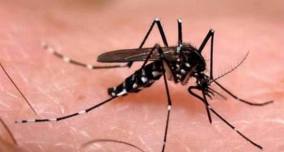 Região da Vila Áurea terá ação contra o Aedes aegypti neste sábado, 16