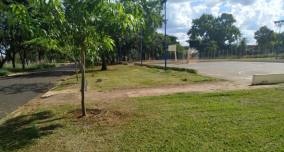 RIBEIRÃO - Parque Maurilio Biagi e praças públicas recebem corte de gramado