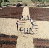 Prefeitura reinicia atividades do Programa Jovem Agricultor do Futuro