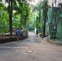 Bosque Municipal reabre ao público aos fins de semana e feriados