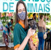 Feira de Adoção de Animais consegue novo lar para cães e gatos