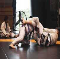 CEU das Artes abre inscrições para aulas gratuitas de jiu-jítsu