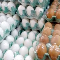 Preço do ovo sobre 20% em 12 meses