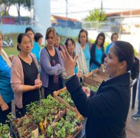 Prefeitura realiza feira de troca de mudas no Centro de Convivência do Idoso