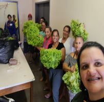 Secretaria de Assistência Social e Programa Jovem Agricultor do Futuro ofertam verduras às famílias em vulnerabilidade