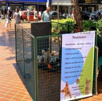 Prefeitura de Sertãozinho realiza mais uma feira de adoção de animais